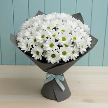 Букет цветов из:  Хризантемы в Поселок совхоза Раменский