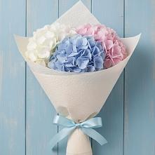 Букет цветов из:  Гортензия в Поселок совхоза Раменский