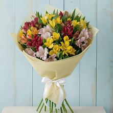 Букет цветов из:  Альстромерии #REPLACE_PRED# Поселок совхоза Раменский