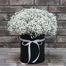 Цветочная композиция из Гипсофила в шляпной коробке в Поселок совхоза Раменский