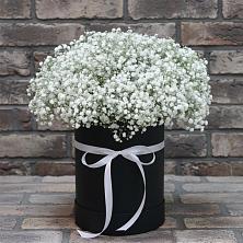 Цветочная композиция из Гипсофила в шляпной коробке в Поселок совхоза Раменский