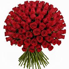 Букет Красные розы Чери Лав #REPLACE_PRED# Поселок совхоза Раменский