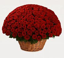 Премиум букет из: Розы в Поселок совхоза Раменский